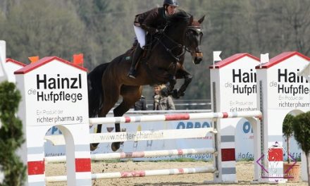 Zwei internationale Pferdesportwochen in Ranshofen