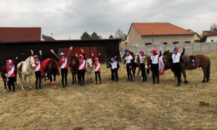 Reitverein Mountedgames OÖ beim Jezdecky Festival