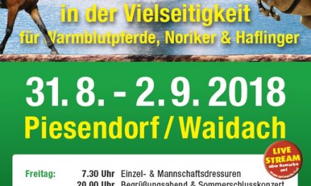 Bundesmeisterschaften in der Vielseitigkeitfür Noriker, Haflinger & Warmblutpferde auf Salzburgs einziger Vielseitigkeitsstrecke