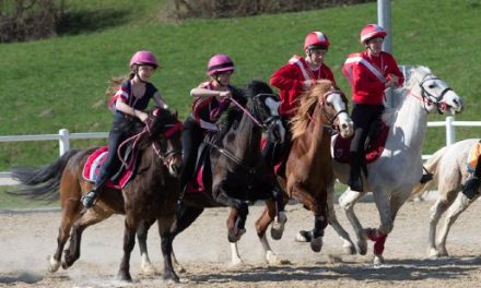 Österreichische Mounted Games Meisterschaften im Pairs Bewerb 2018