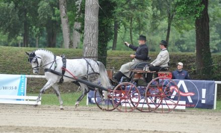 CAI2* Stadl Paura – Runde zwei für den AWÖ Fahrcup