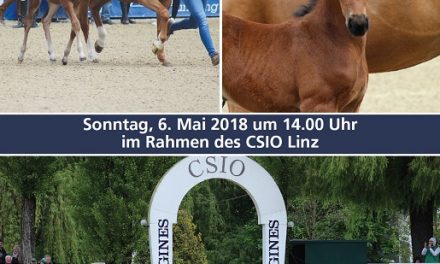 Fohlenschau beim CSIO in Linz am 06. Mai 2018