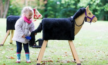 Kooperation mit Österreich ist perfekt – „Pferde für unsere Kinder“ wird international