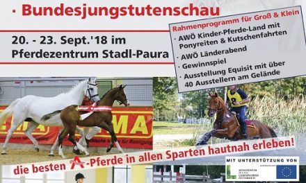 Vorschau zum AWÖ Bundeschampionat und BM Dressur & Springen der Ländlichen Reiter von 21.-23. September 2018