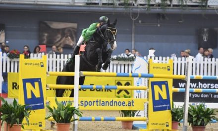 APROPOS PFERD & CSI Arena Nova 2019 :: Pferdesport trifft Shopping und Show in Wr. Neustadt