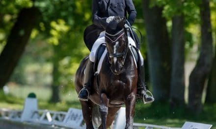 Pferdefestival Redefin – Vorfreude bei den Meistern
