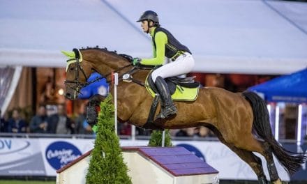 CHI Donaueschingen – Pferdesport und Championatsflair auf drei Plätzen