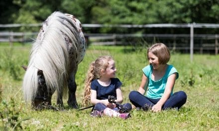 „Pferde für unsere Kinder e.V.“ -WEIHNACHTSAKTION: Kindern Zeit mit Pferden schenken!