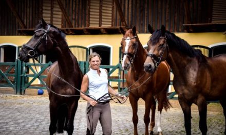 Neues zu Hause für Juliane Weyland – Dressurreiterin ist wieder zurück in Oberösterreich