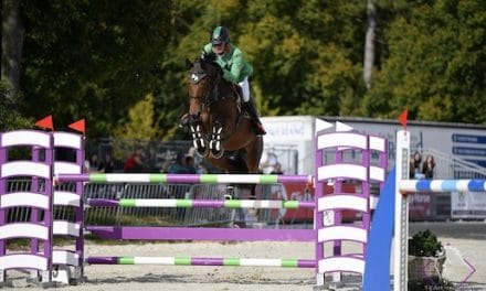 CSN-A* Pferd Wels: Patrik Majher triumphiert am zweiten Turniertag