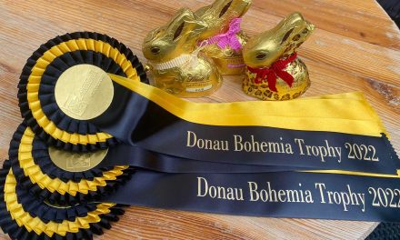 HCHC: Startschuss für Donau Bohemia Trophy