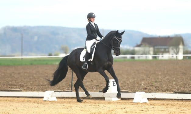 Reitsport: Braunauer Platzierungsreigen bei Ranshofen Masters 