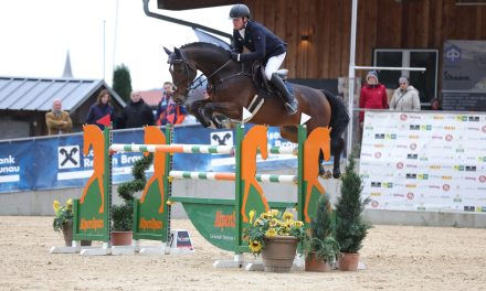 Reitsport: Schönstetter setzt Siegesserie in Ranshofen fort 